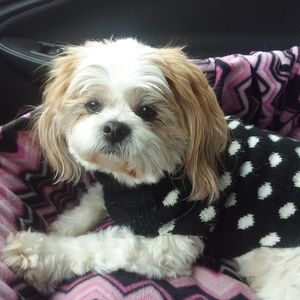 Meet your Posher, Mary